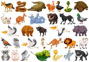 Set of wild animals illustration