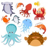Set of sea animals on white background illustration
