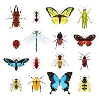 Insects colored decorative icons set with dragonfly beetle butterfly isolated vector illustration